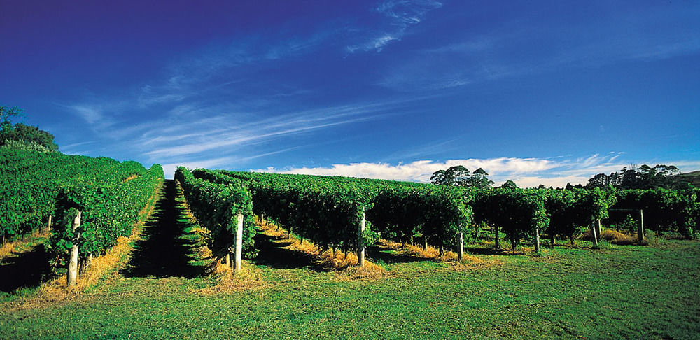 Vineyard Cottages - Kumeu Waimauku Екстер'єр фото